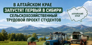 В Алтайском крае запустят первый в Сибири сельскохозяйственный трудовой проект студентов