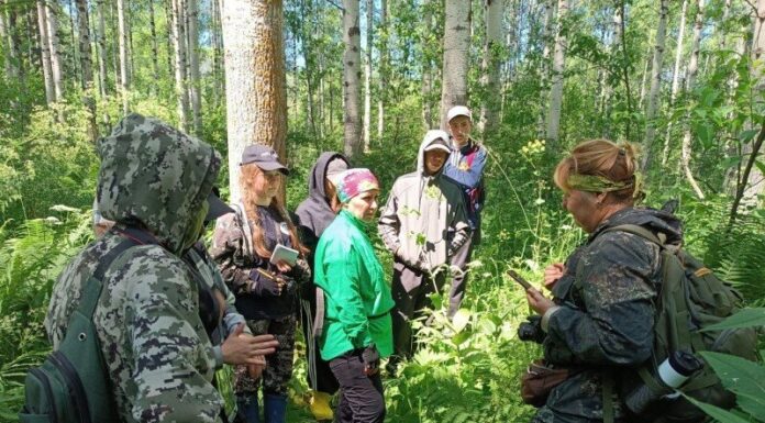 В Алтайском крае национальный парк «Салаир» принимает участников экологической экспедиции