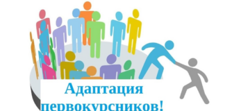 «Неделя адаптации» для первокурсников колледжей в столице Алтайского края объединила порядка 900 студентов